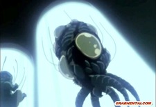 Hentai girl hard monster tentacles poking